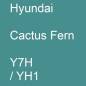 Preview: Hyundai, Cactus Fern, Y7H / YH1.